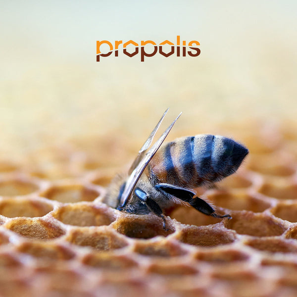 Materac Propolis Shield Materasso