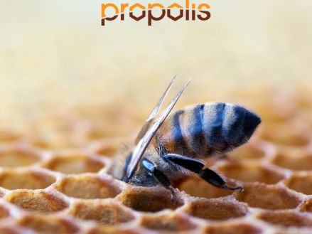 Materac Propolis Shield Materasso
