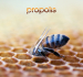 Materac Propolis Shield Materasso